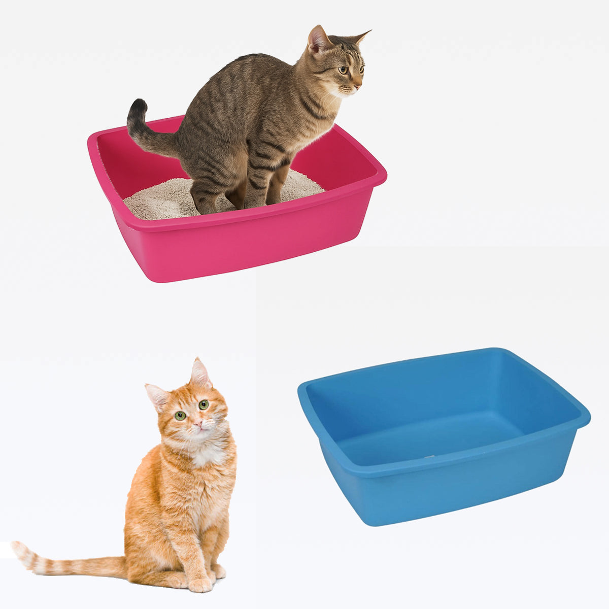 Bandeja P Gato Alta 43,5x34,5x13,5m