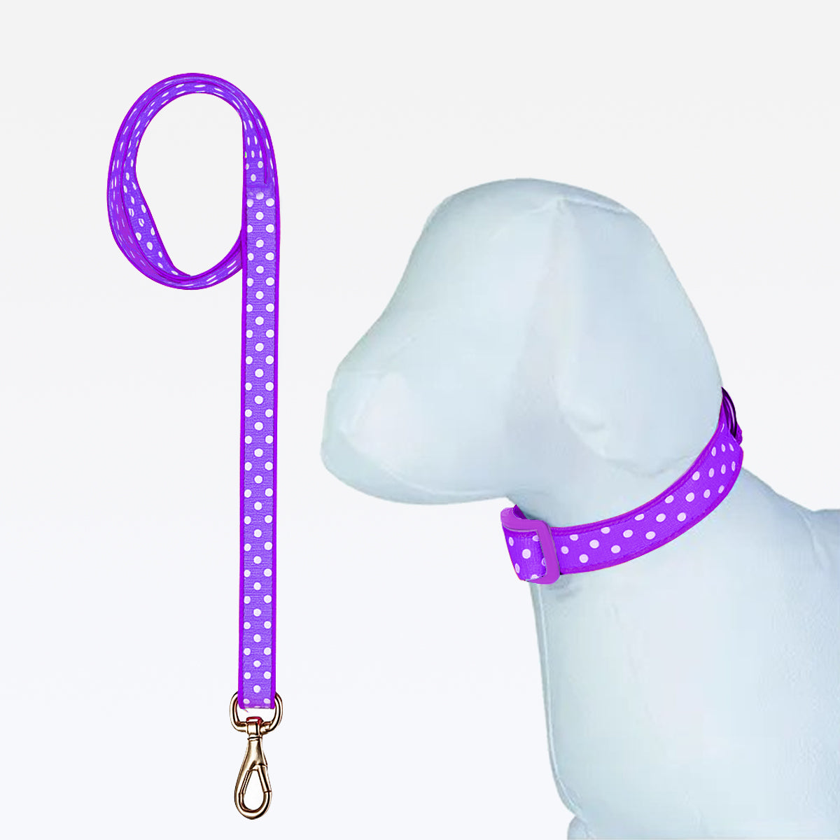 Coleira C/ Guia Nylon 15mm - Roxo