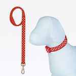 Coleira C/ Guia Nylon 15mm - Vermelho