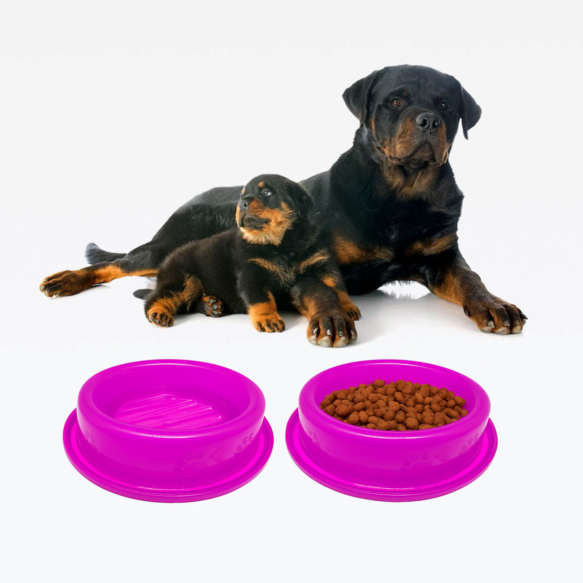 Comedouro ou Bebedouro Antiformigas - Rosa Neon