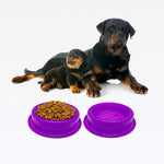 Comedouro ou Bebedouro Antiformigas - Roxo Neon