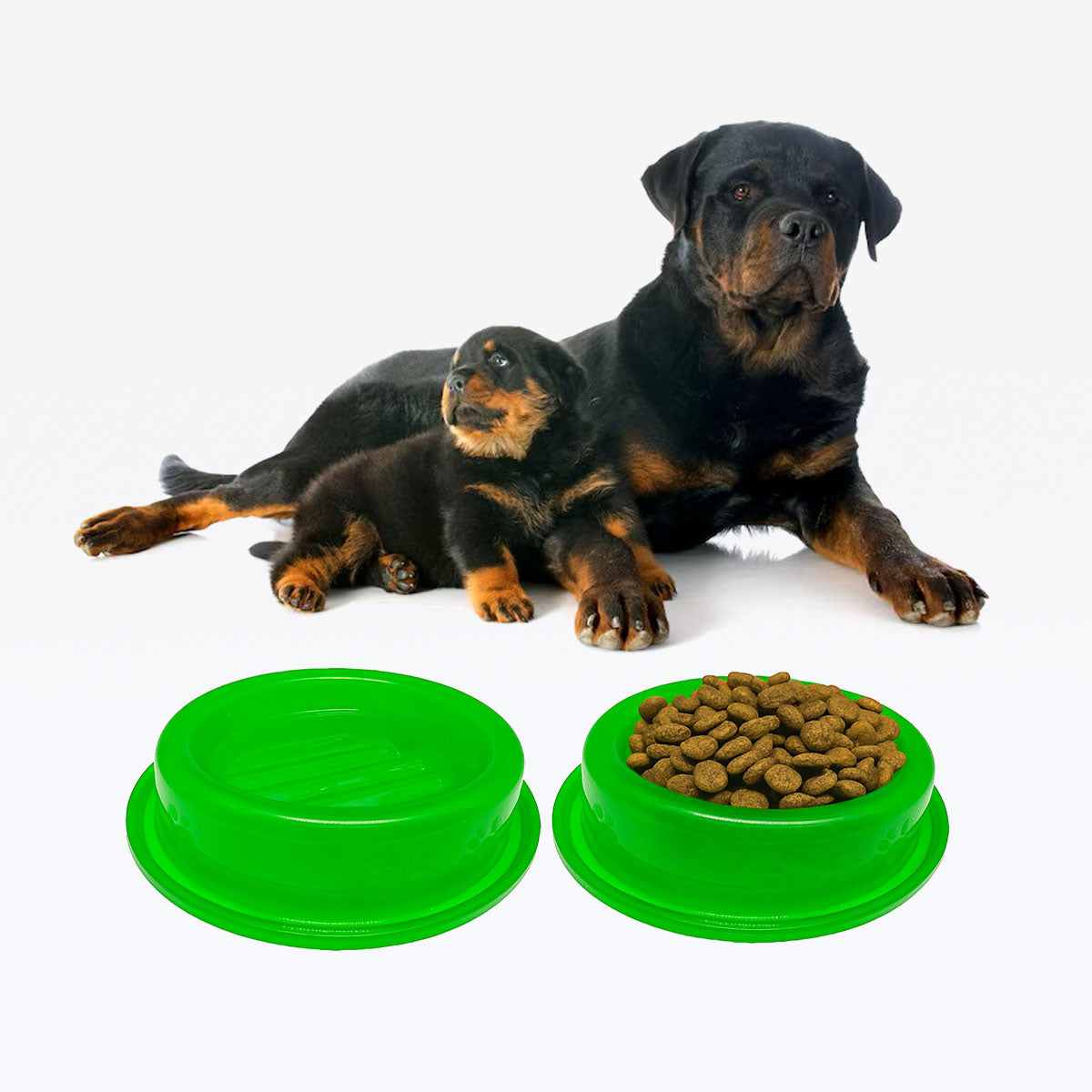 Comedouro ou Bebedouro Antiformigas - Verde Neon