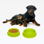 Comedouro ou Bebedouro Antiformigas - Amarelo Neon
