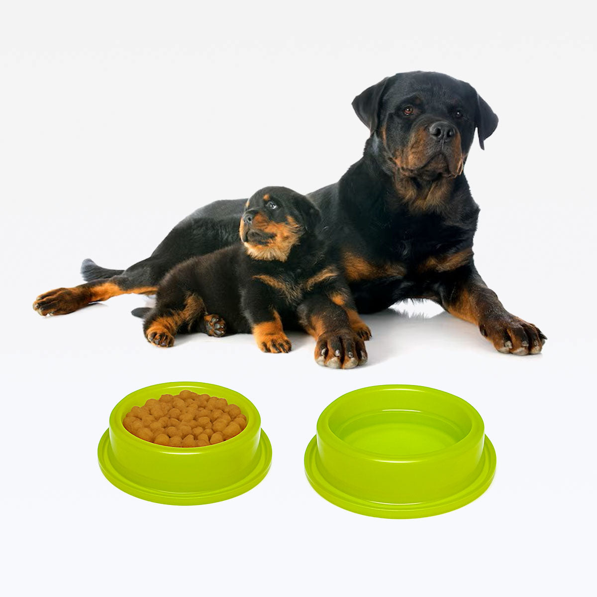 Comedouro ou Bebedouro Antiformigas - Amarelo Neon