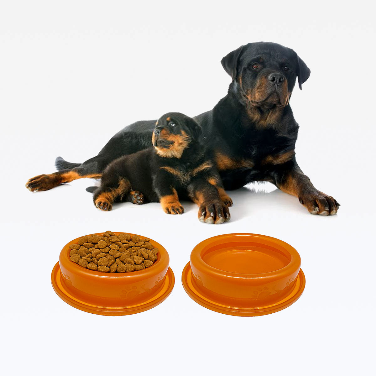 Comedouro ou Bebedouro Antiformigas - Laranja Neon