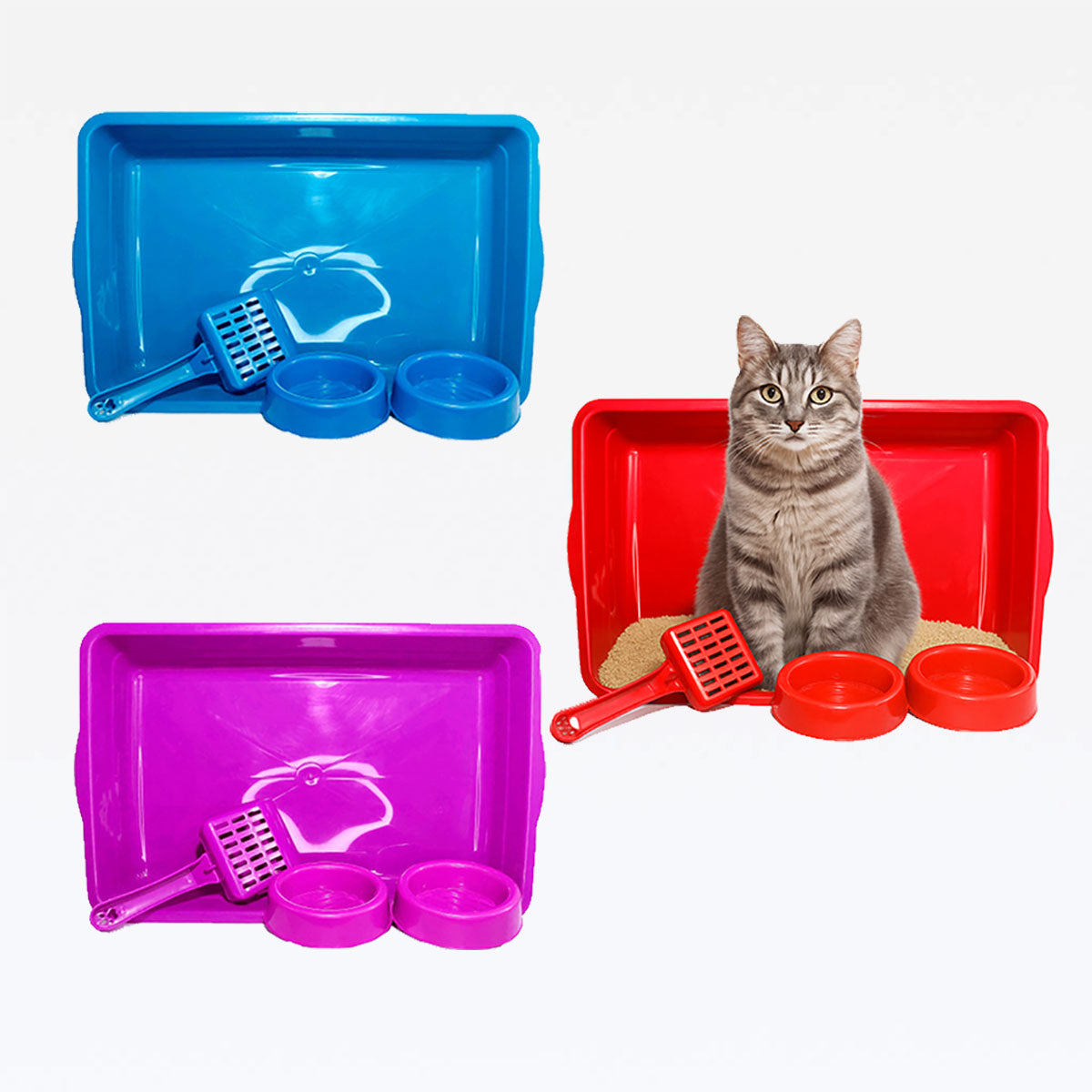 Kit Bandeja para Gato (1 Band.2 Com. 1 Pa)