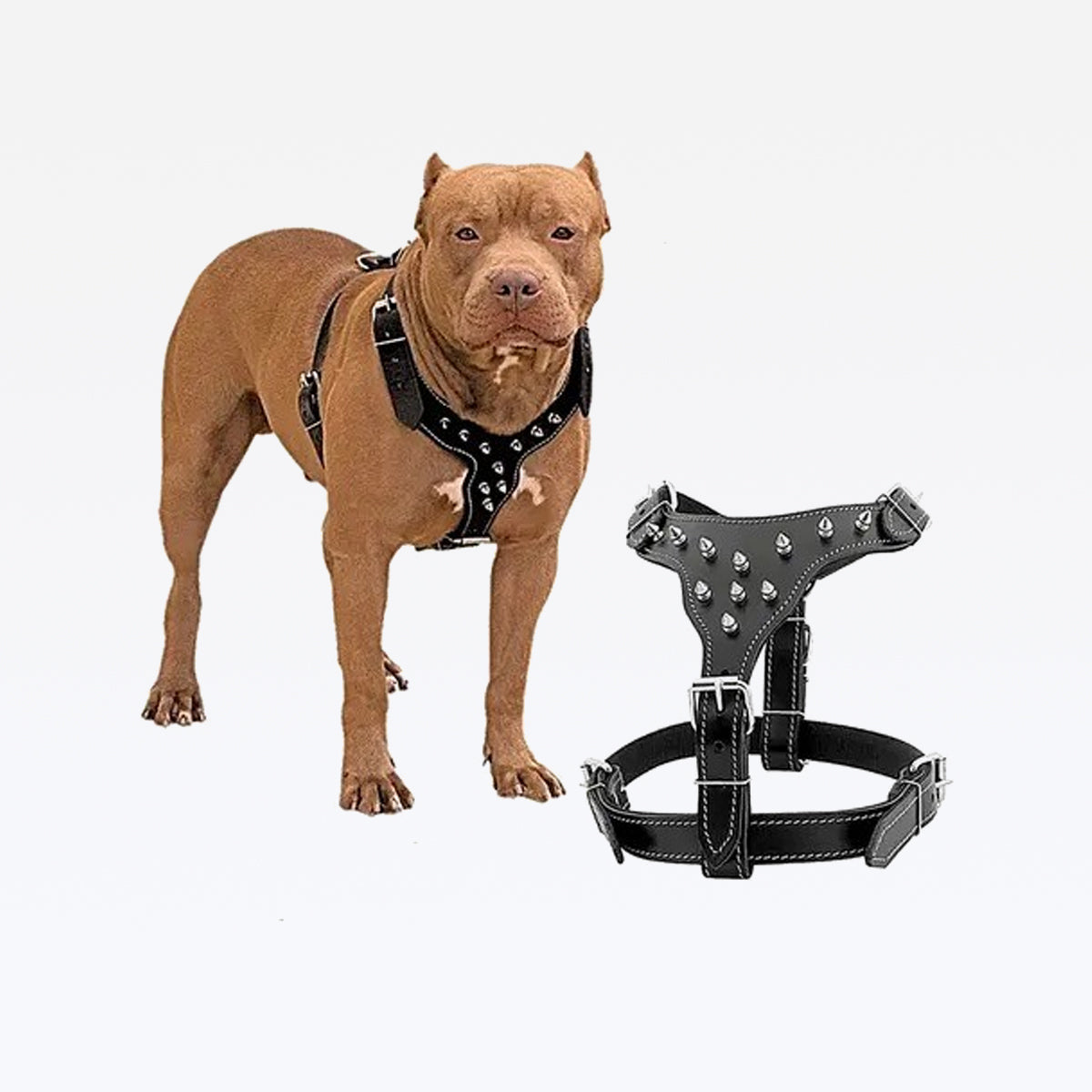 Peitoral Couro Pitbull