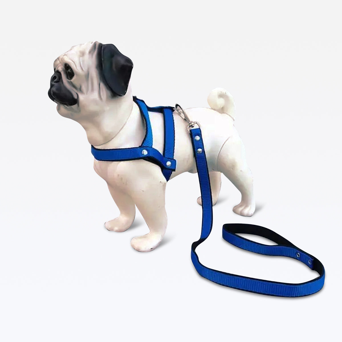 Peitoral com Guia Nylon - Azul