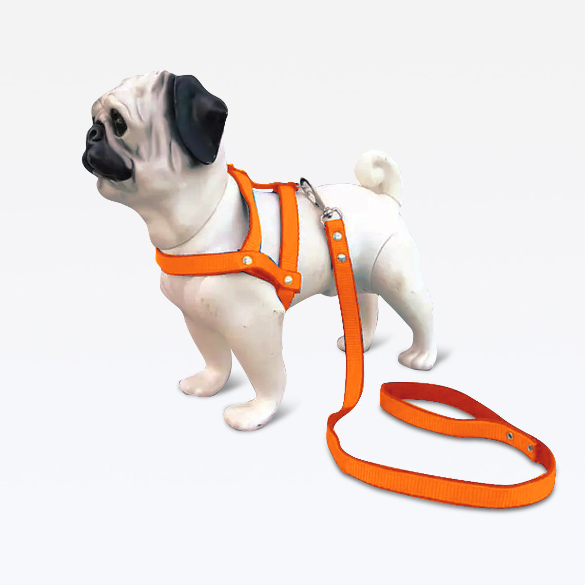 Peitoral com Guia Nylon - Laranja