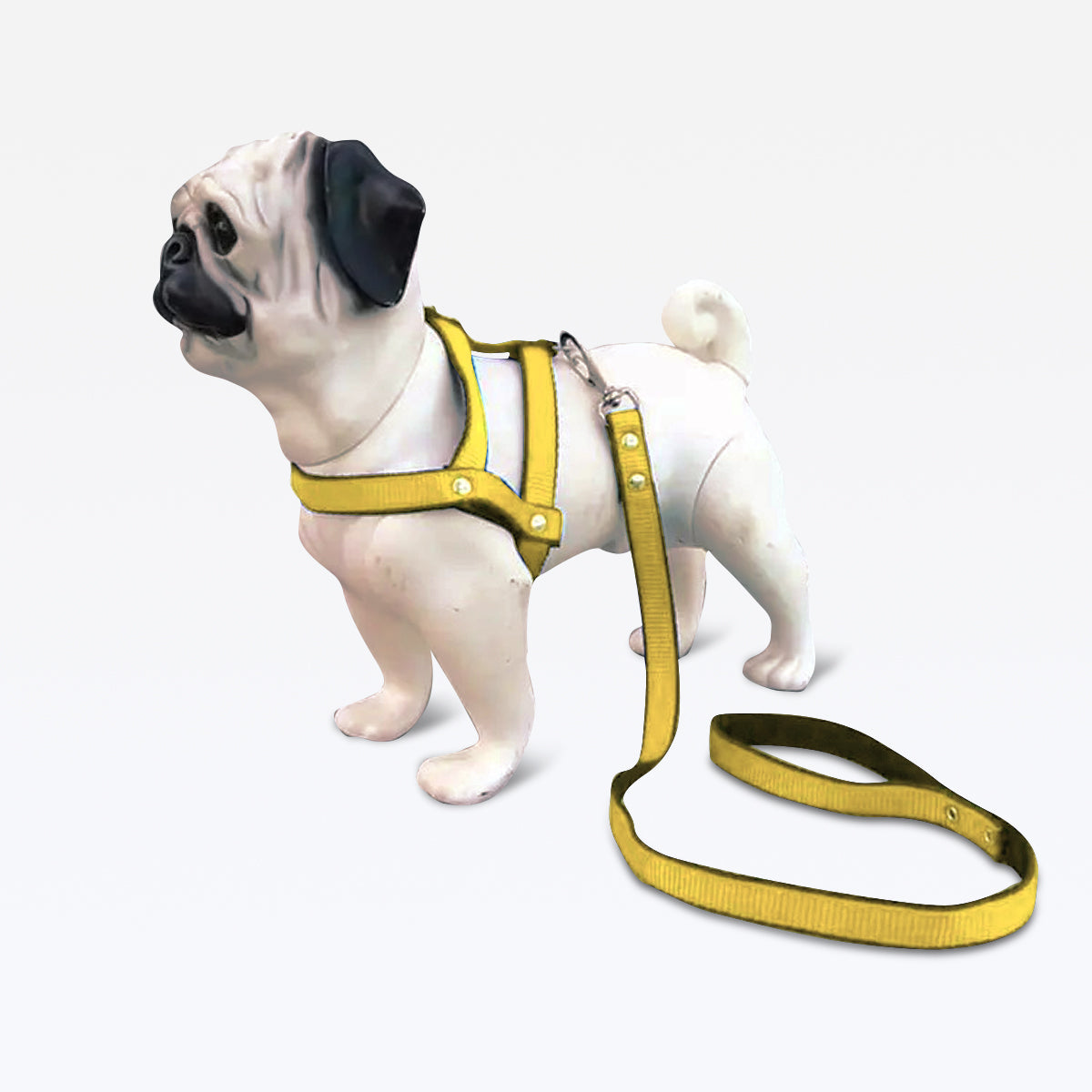 Peitoral com Guia Nylon - Amarelo