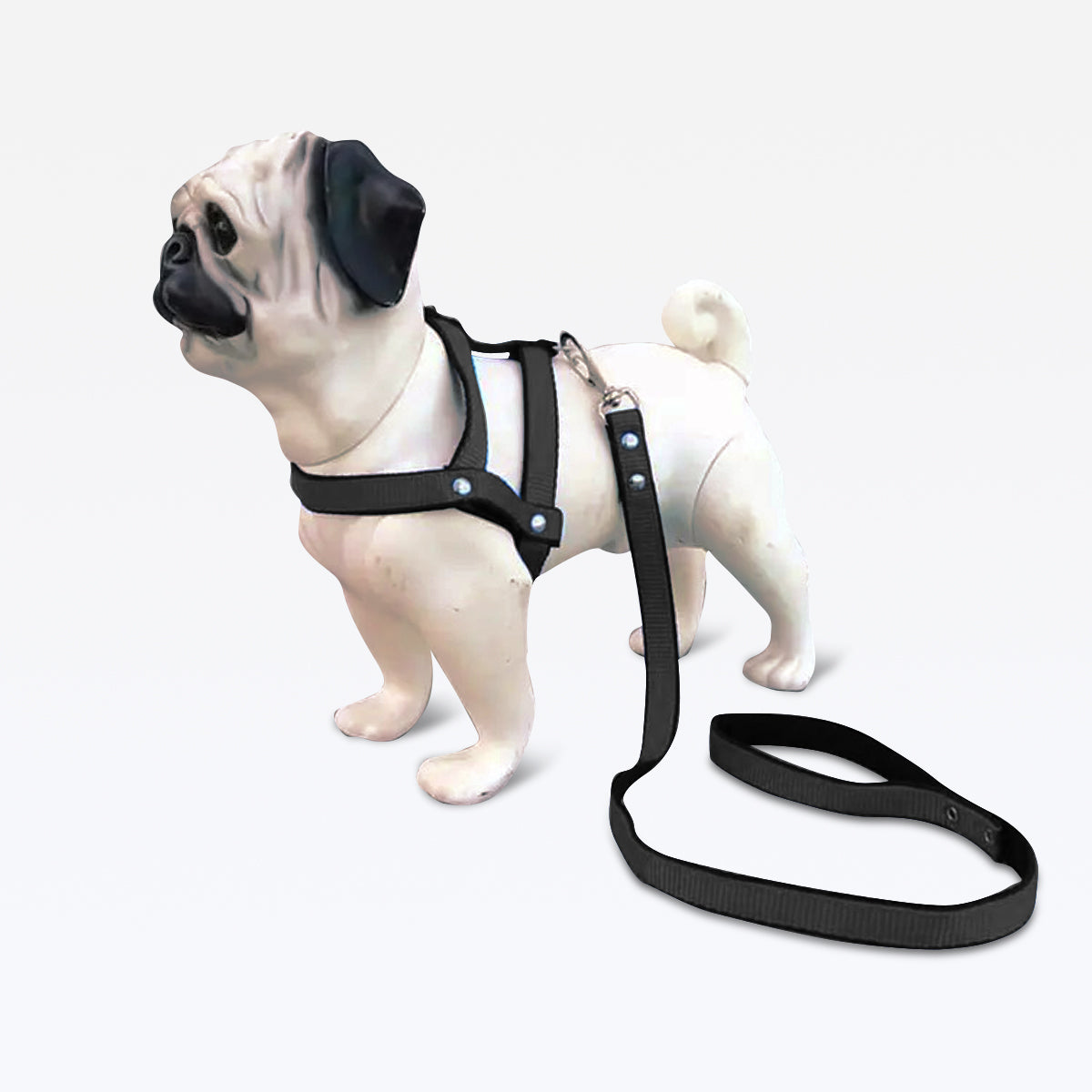 Peitoral com Guia Nylon - Preto