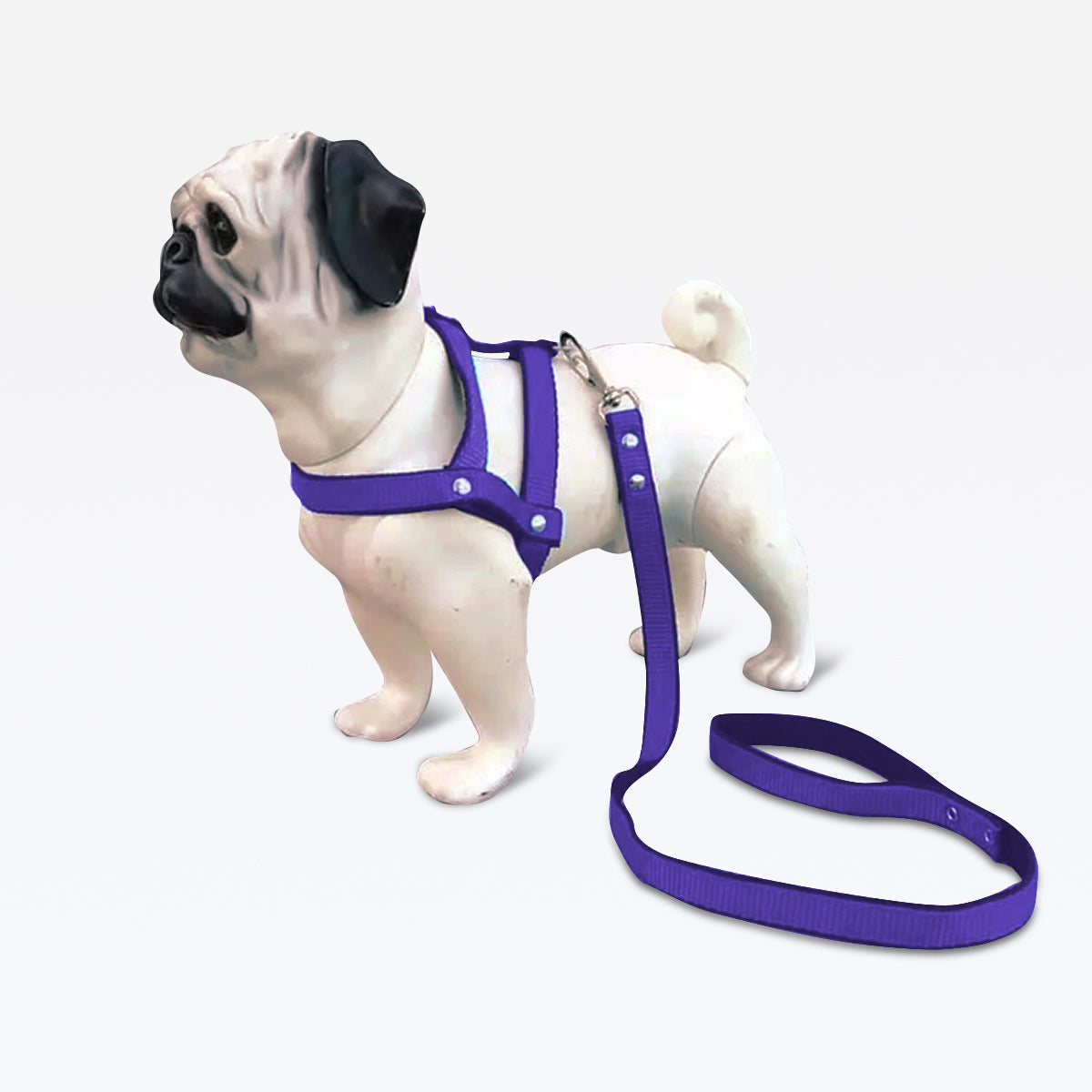 Peitoral com Guia Nylon - Roxo