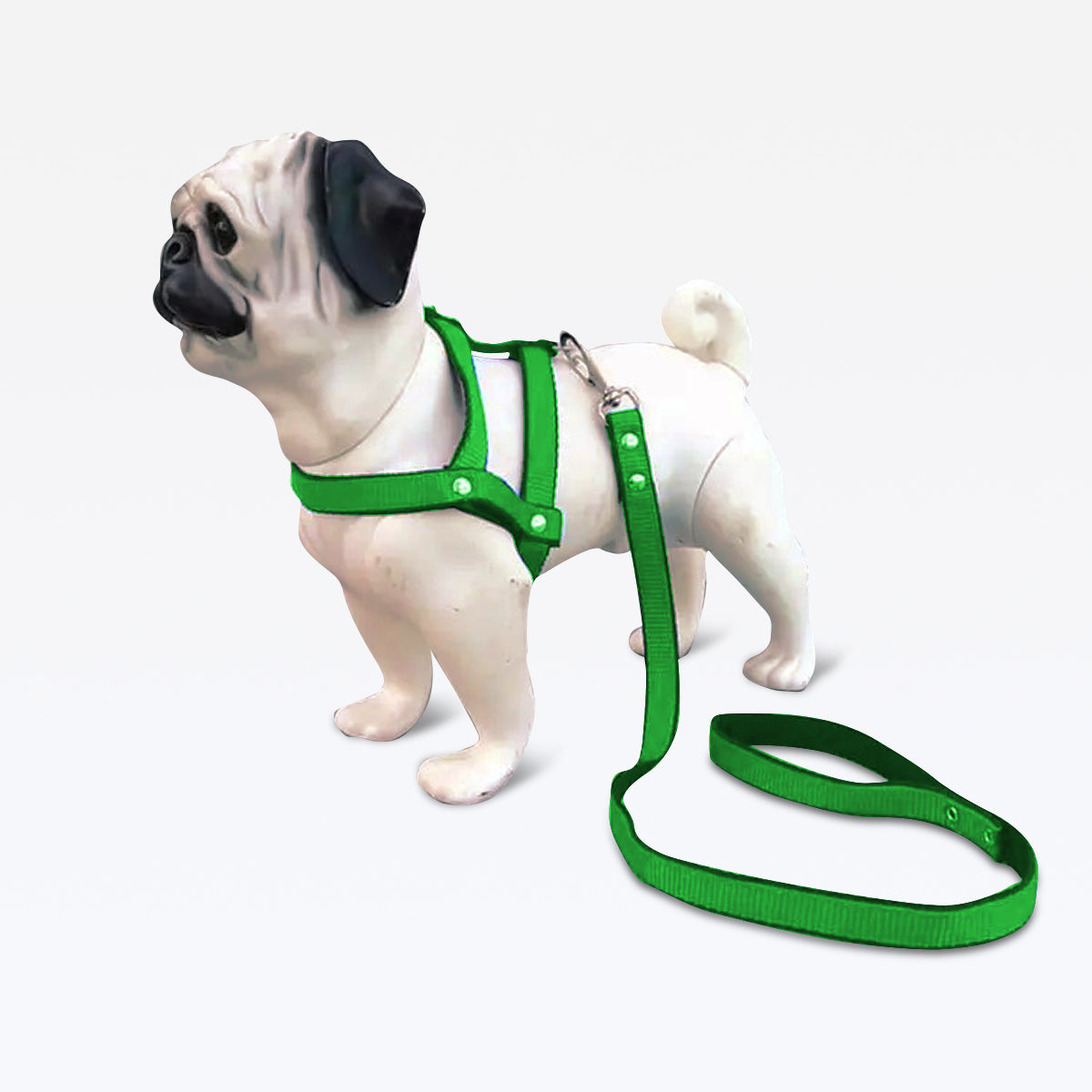 Peitoral com Guia Nylon - Verde
