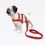 Peitoral com Guia Nylon - Vermelho