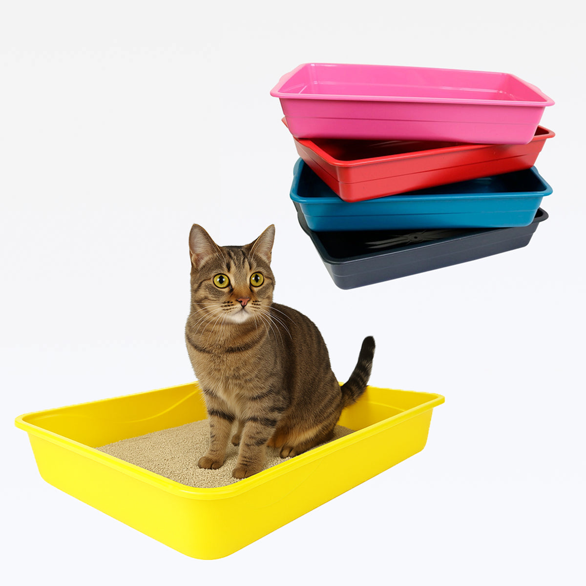 Bandeja para Gato 46comp.x 31 Larg. X 8alt