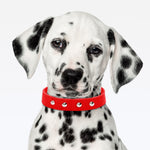 Coleira Dupla Nylon 30mm Com Cravo - Vermelho