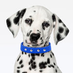 Coleira Dupla Nylon 30mm Com Cravo - Azul