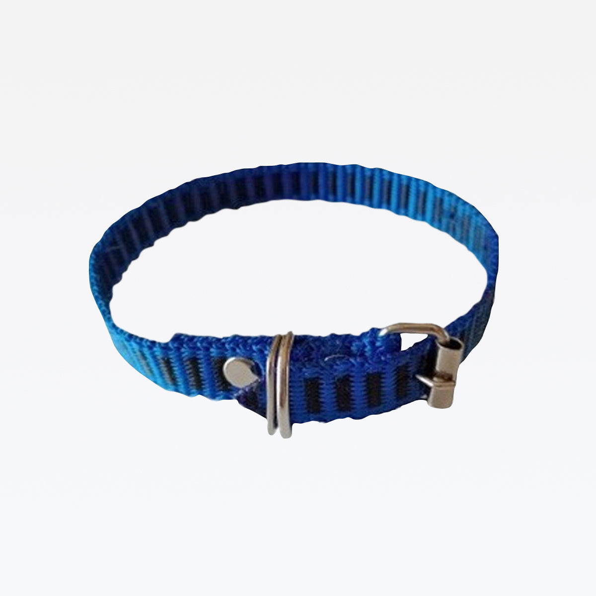 Coleira Nylon - Azul
