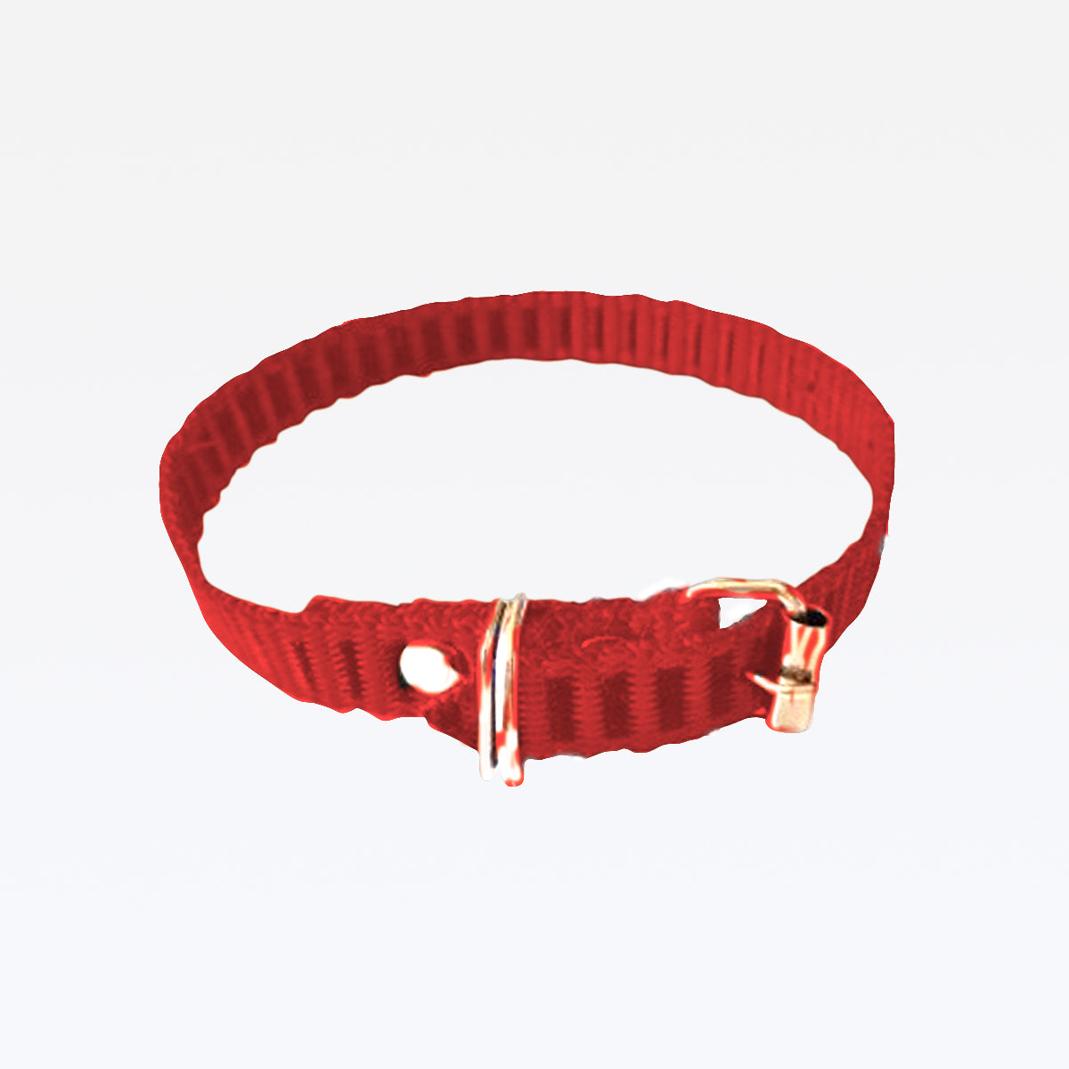 Coleira Nylon - Vermelho