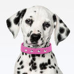 Coleira Dupla Nylon 30mm Com Cravo - Rosa