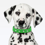Coleira Dupla Nylon 30mm Com Cravo - Verde