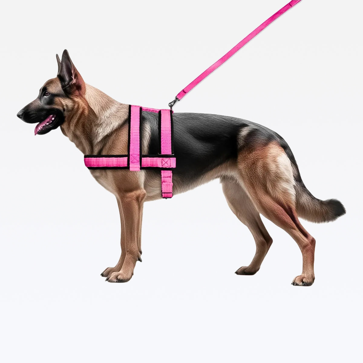 Peitoral Guia Nylon Reforçado - Rosa