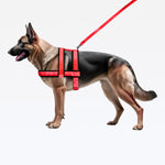 Peitoral Guia Nylon Reforçado - Vermelho